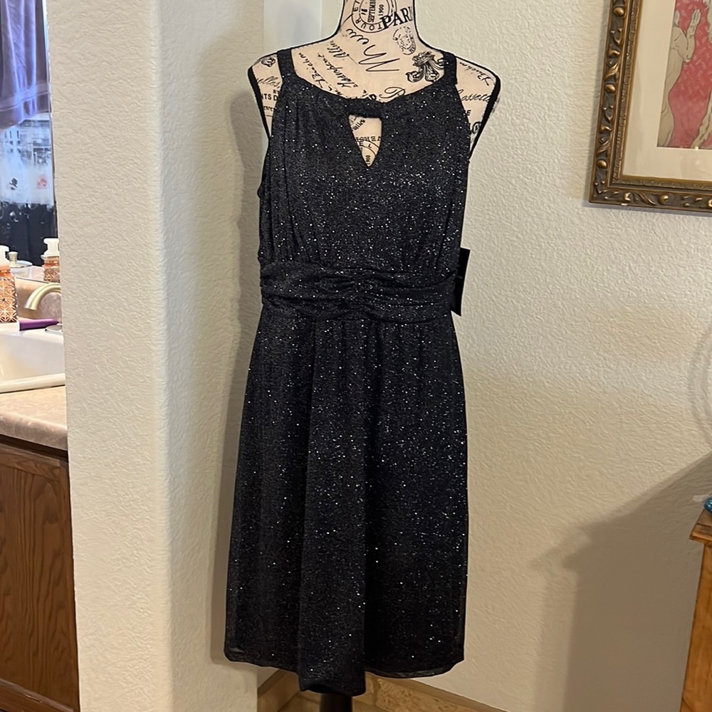 NWT Karina Glitter Cocktail Dress